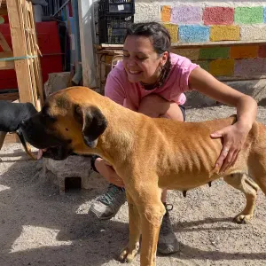 Pet-sitter dans le Sancerrois 