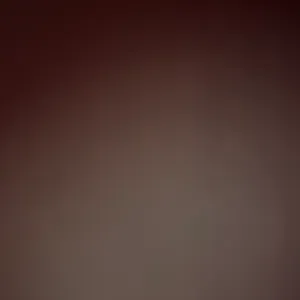 Femme de ménage, nounou , pet-sitter