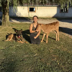 Pet-Sitter tout type d'animaux 