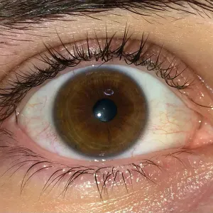 cerco lavoro a palermo per lavoretti o pulizie in casa/scale