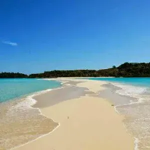 Cercasi servizio di pulizie