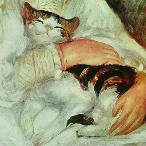 Pet-sitter au alentour d'Epfig