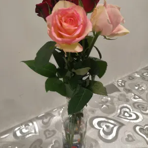 Mauricienne, honnête et amicale