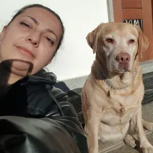 Dog  sitter a  Beinasco. Cerco urgentemente lavoro