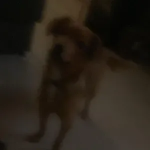 Usługi sprzątania regularnego, poremontowego, generalnego 