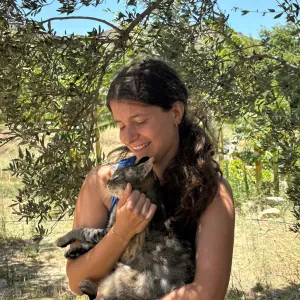 Pet sitting services in Lisbon and Santa Iria de Azoia area