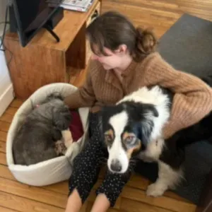 Pet-Sitter disponible à Lyon !