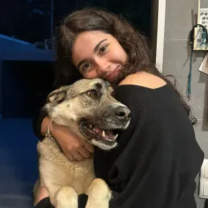 Pet sitting e passeios em Rio Tinto e Porto