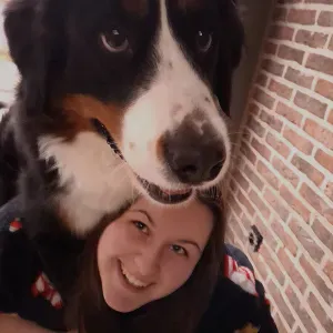 Enthousiaste huisdierenoppas in Tiegem