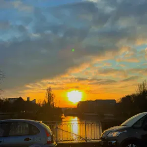 Serviço de petsitter