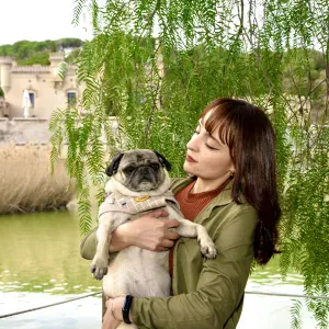 Cuidado de perros y gatos.