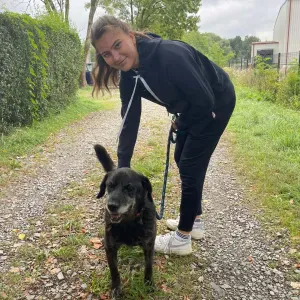 Dogsitter, opieka nad pieskami ! 