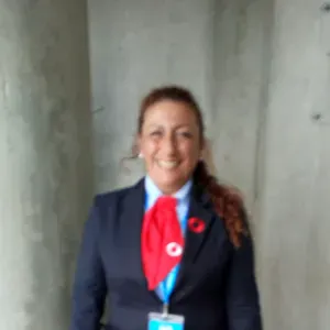 Procuro umas horas uma ou duas vezes por semana em limpezas