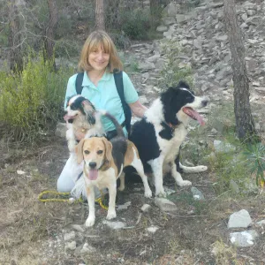 Garde d'enfants, Baby-sitter expérimentée