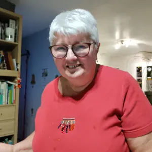 Femme de ménage sur Bazoches au Houlme