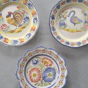 Pet-sitter - Promenade et visite 