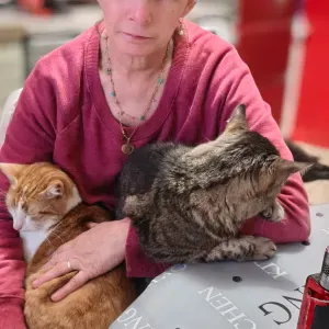 Femme de menage ,auxiciliaire de vie