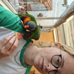 Pet-Sitter au Alentours de Charleroi
