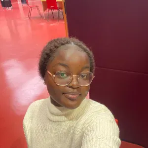 Baby-sitter à Poitiers et ses alentours ! 