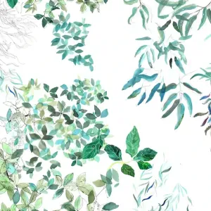 Prof particulier (niveau licence) sur la région de Dinan 