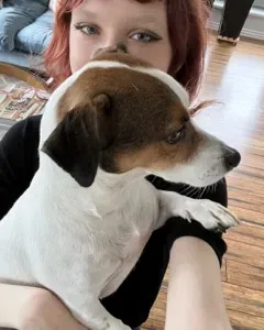 Opieka nad zwierzętami wszelkich ras - Petsitter Wrocław