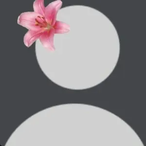 Babysitter responsable et mature 