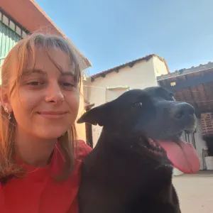 Procura um cuidador para os seus animais em Coimbra? 