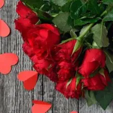 Cerco lavoro come donna delle pulizie