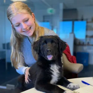 deze oppas zoekt een nieuw adresje