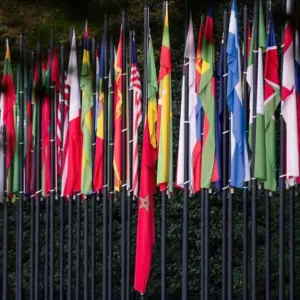 Professeur particulier disponible