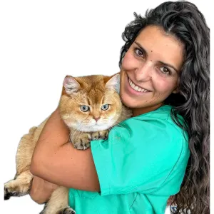 Pet Sitting Santa Maria da Feira 