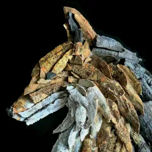 Pet sitter sur pouilly en auxois 