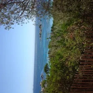 Auxiliaire/ assistante de vie 