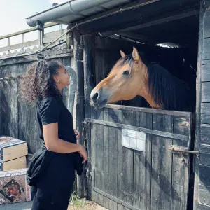 Babysitter sérieuse et expérimentée