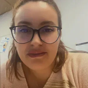 Propose services de ménage ,Franconville