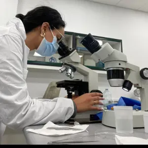 Experienced tutor looking for a job :) !