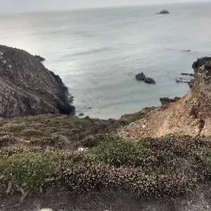 Assistante de vie en Presqu'île de Crozon