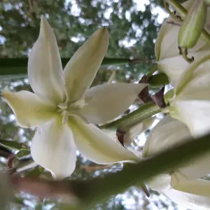 Aide à domicile aux personnes âgées 