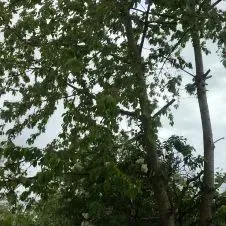 Je suis une personne très sérieuse dynamique ponctuelle  