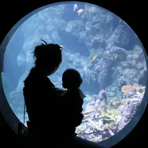 Baby-sitteuse expérimentée à Brest 🦋