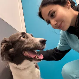 Pet sitting for dogs and cats (all services)