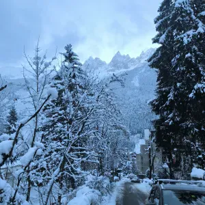  Femme de chambre /  gouvernante Lingère expérimentée 