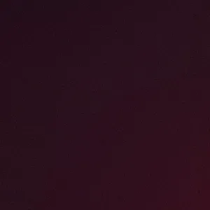 Femme de ménage agréable responsable et efficace