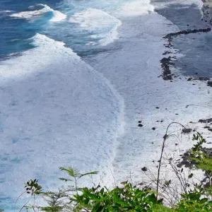 toute la France pour le gardinnage au domic