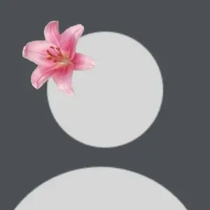 Baby-sitter expérimentée à Bruxelles