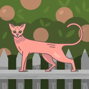 Cercasi servizio di pulizie