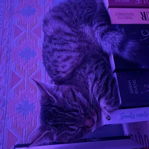 Pet-sister à près de Paris , Marly le rois 