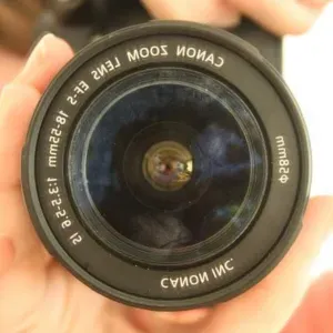 Position for a Petsitter in Lignano Sabbiadoro