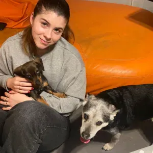 Pet-sitter attentionnée, disponible pour vos animaux