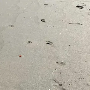 Busco niñena en Manilva